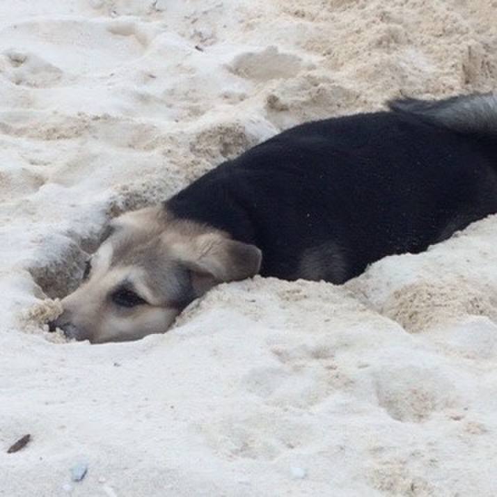 D0e07e33 c0e8 4bfd 9485 89ac3b6d7f75