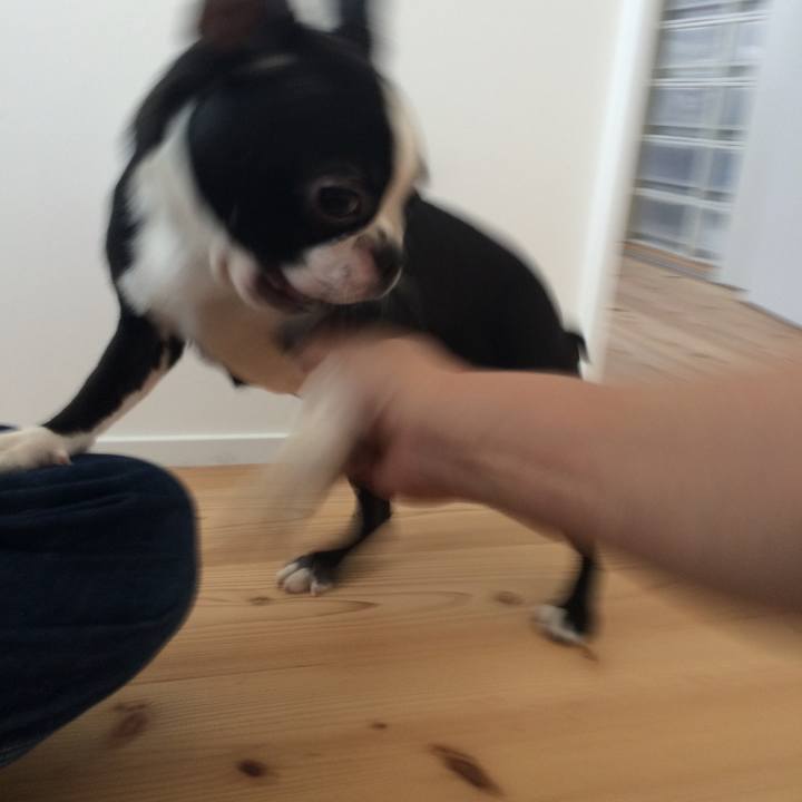 D0e1f191 f479 4e2e 94b4 14fd9bb05349