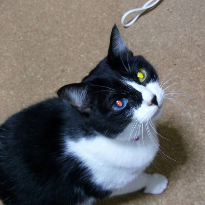 D0e2226d 2cc7 4762 998c 353bc64b98e7