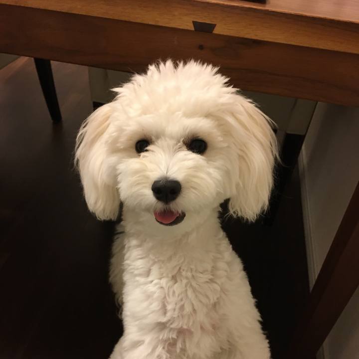 D0e2620e 611e 45b8 b4fe b9d4fe417e8b