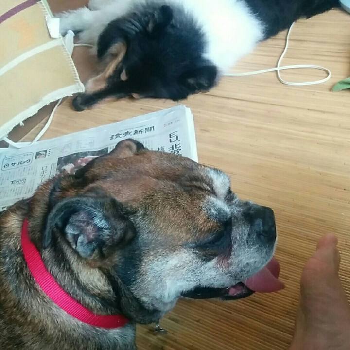 D0e29527 6c2f 4ea6 9c34 3fde42e8e9be