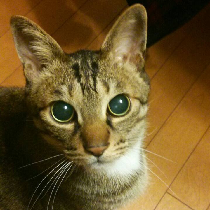 D0e34bb6 7bc5 4f04 8584 178305749055