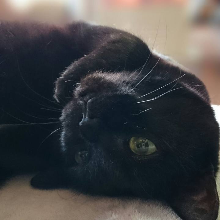 D0e35b37 8994 4617 9c55 c71e068a813b