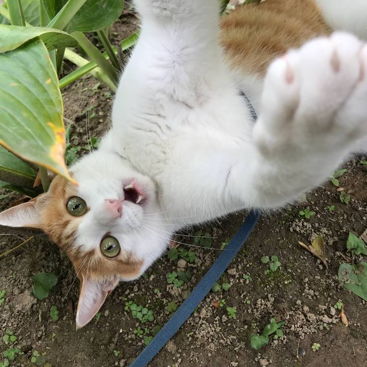 D0e3f291 7af1 4d37 827e 5f790eba662e