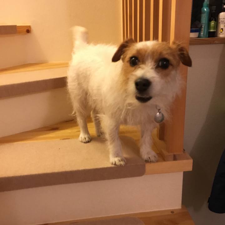 D0e43587 702b 42bd 8f4a d7b7c0262947