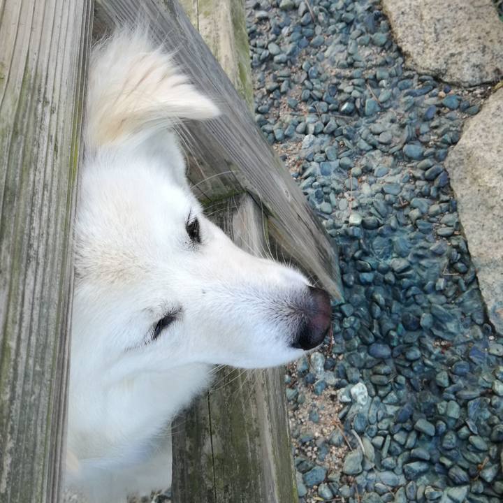 D0e4a9f4 6f7f 4120 8e08 a2b39ac090d4