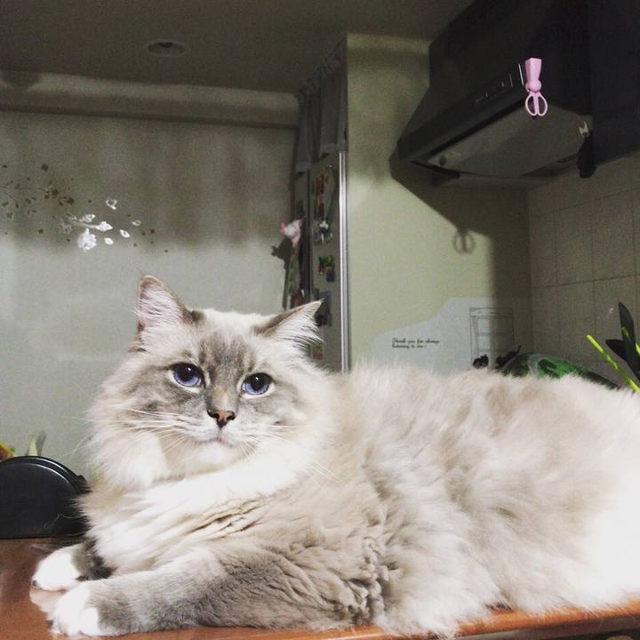 D0e4ca39 24ee 436f 8df3 4555f90bb6b2