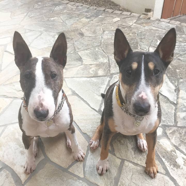 D0e54cf0 58a0 4cab bea2 ada06056209e