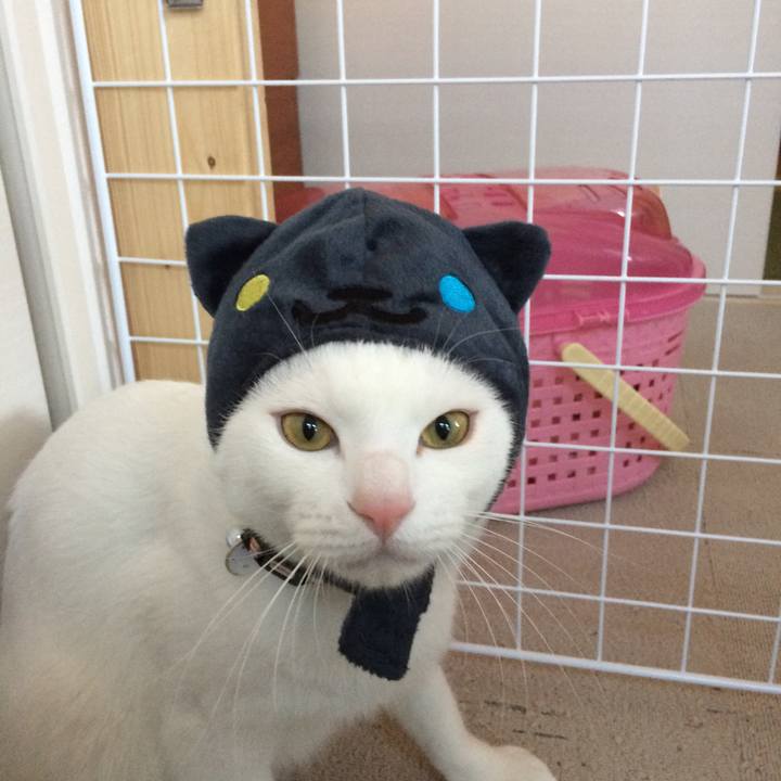 D0e5739e f502 4b40 8aa1 6634c55494cb