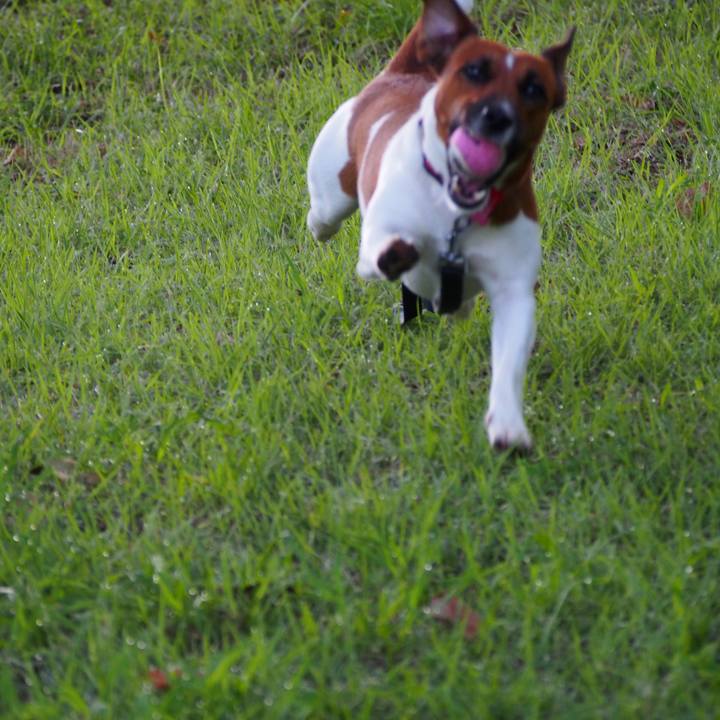 D0e6cd2d 7f88 4fd1 8212 65b857d858ca