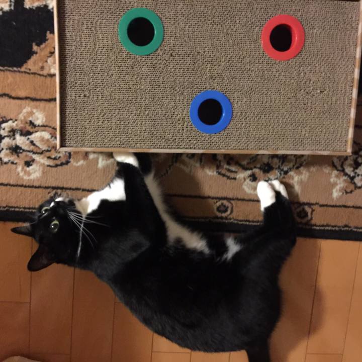 D0e6f6f8 905e 4825 84ab 8e42831c904e