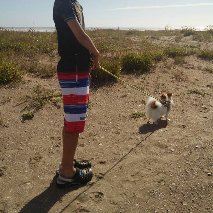 D0e7416a b8d1 4365 85eb 60109e95e14b