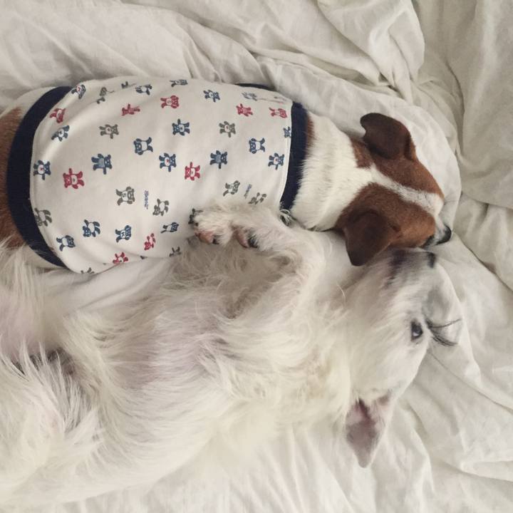 D0e7c366 5414 4ff0 aa93 c2979cb5b6e5