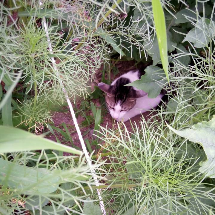 D0e7d505 28bf 44d1 a40a ce94f6fe9398