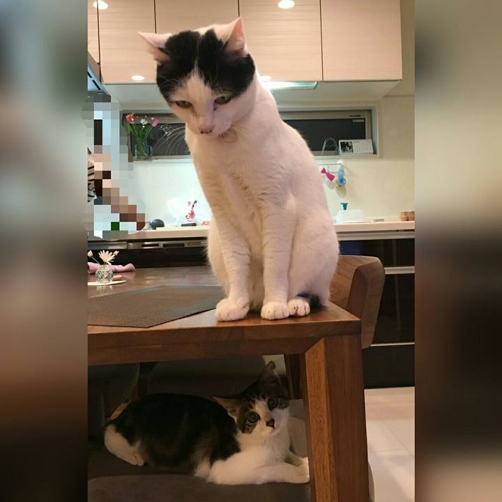 D0e86d71 11f2 4e9d af63 c433c9e33e03