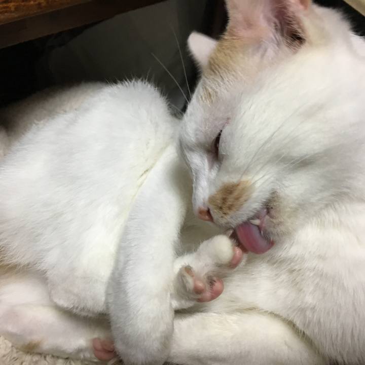 D0e897a0 b207 482c a192 8dc93a31cb6d