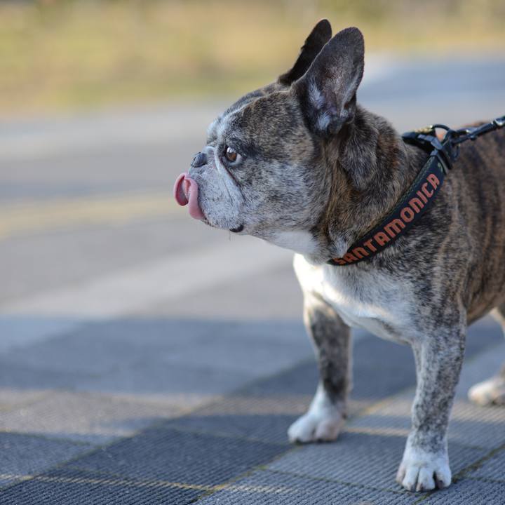 D0e8b9ce 12ad 4b2c b312 ccc55d8bba8a