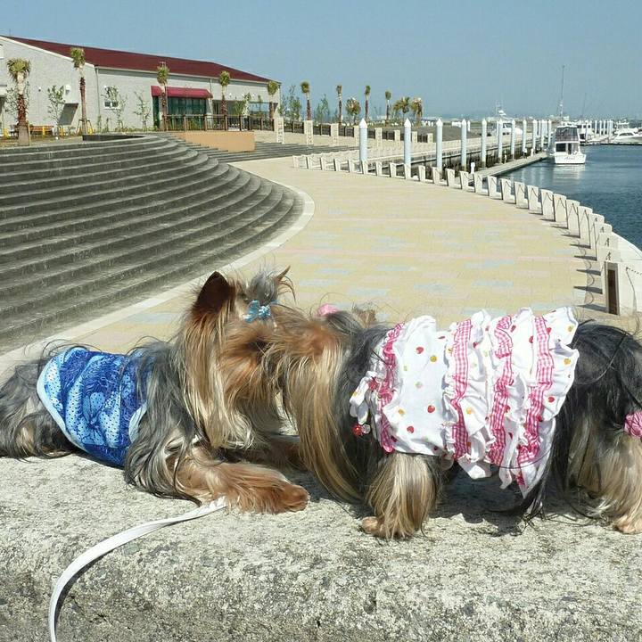 D0eac6b9 b96d 418d aaec cfbb3d530dfb