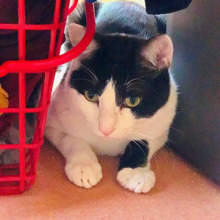 D0eac82d cb4b 4797 b42e f4b476ba2f6c