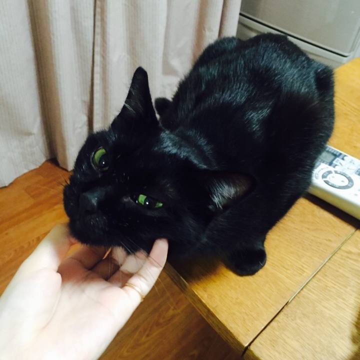 D0eb3ecc 2b59 44ee 9773 9facc09c5d16