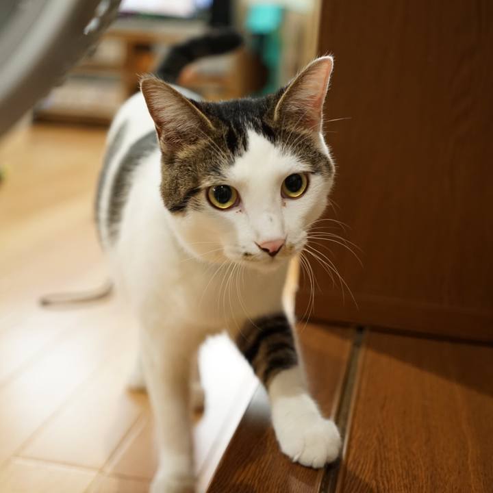 D0eb5fb9 7988 424c 9a13 ce1ddbb20bd0