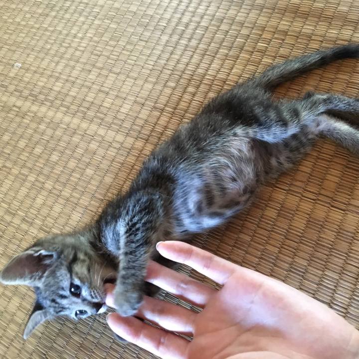 D0eb6140 6cdf 483e 81f8 0b14ec4aedbe