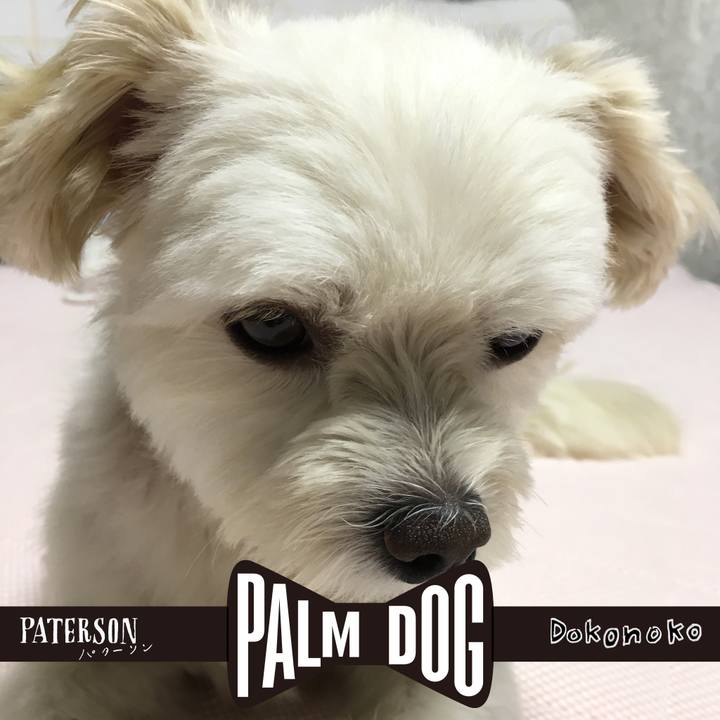 D0ecba4a 12d6 4b03 8cd2 0236ccd84f62