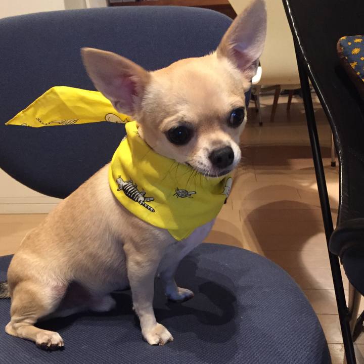 D0ed017c a2bb 4572 9ac0 ecea970eb82c