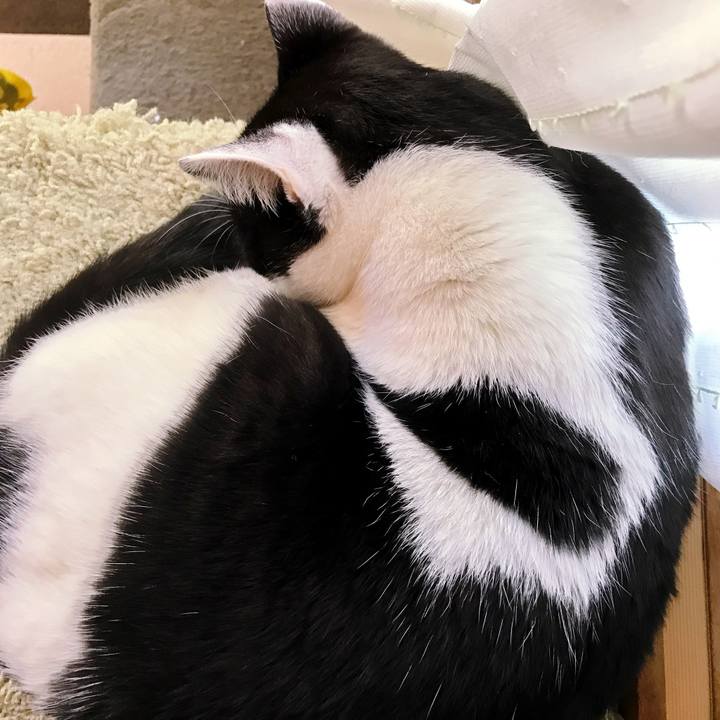 D0ed1505 d91d 47af a151 25fb9e607dcd