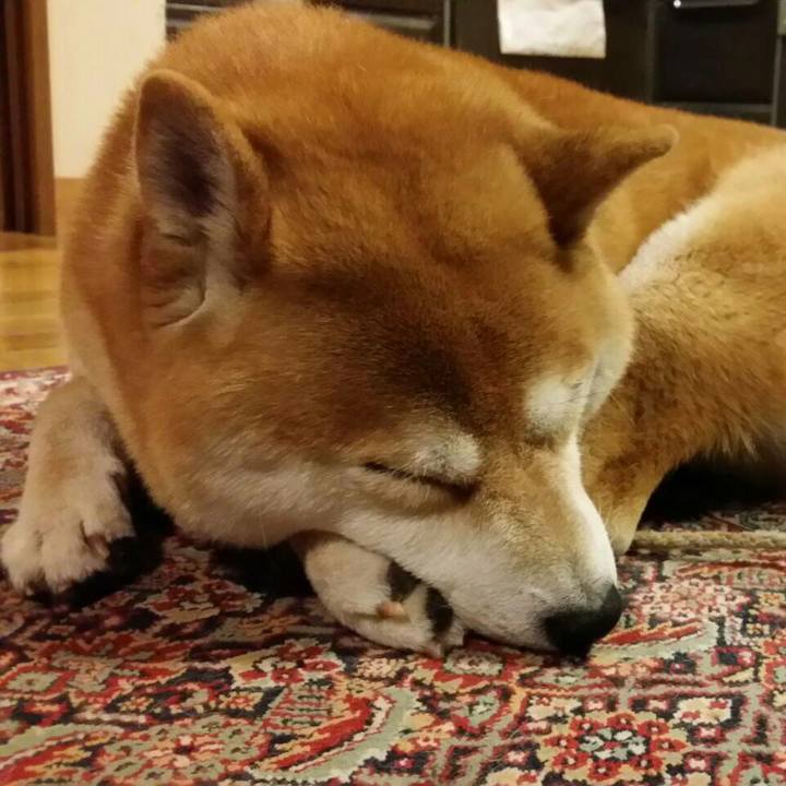 D0edf9d1 b6a2 4949 a915 bfa7b01f29fc