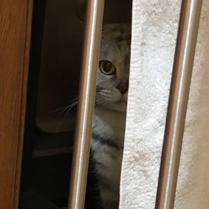 D0ee4628 71dd 462a 8d18 5ebcdd068af4