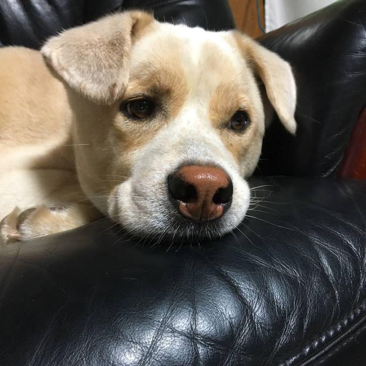 D0ef7356 d622 4a02 b66e e2ebd65d48a4