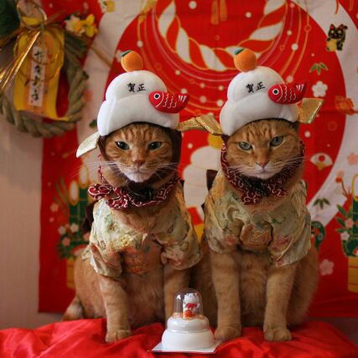 D0ef742e c42c 4c14 bcfe 8553e15d1a77