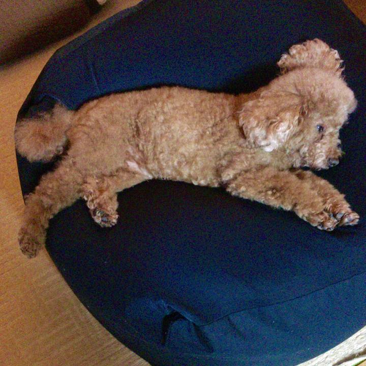 D0efc3a0 b342 436d 982f ca343d0884df