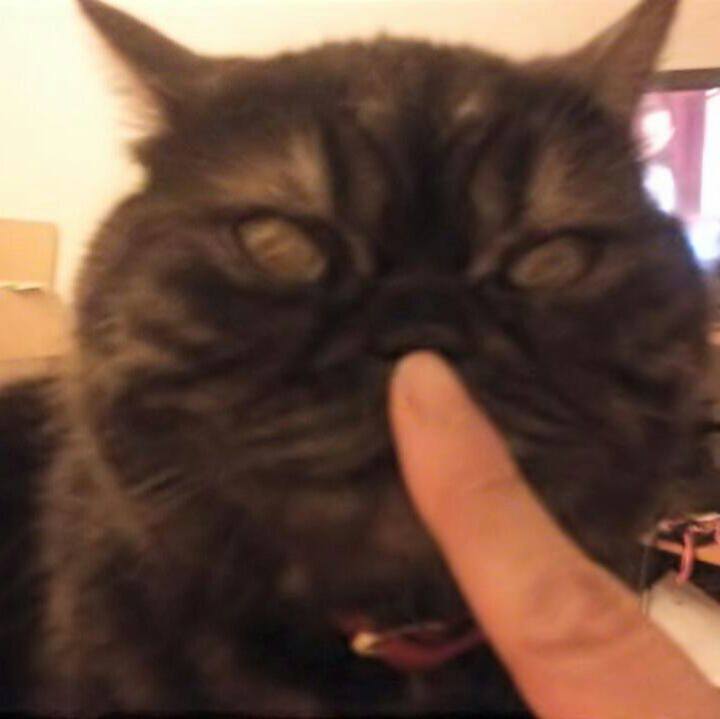 D0f02fd1 4922 44c2 ac85 ab2ecc0d98c1