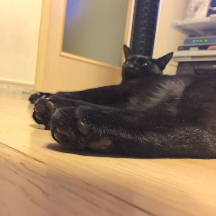 D0f0e053 4094 4abd b5e1 2a0fd76722da