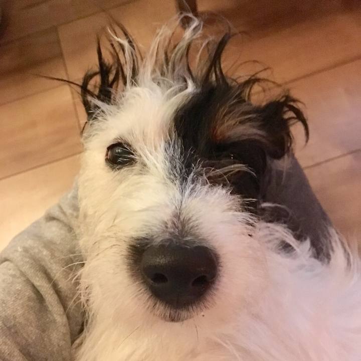 D0f0f94f 8219 4b35 b173 a8a7e140294a