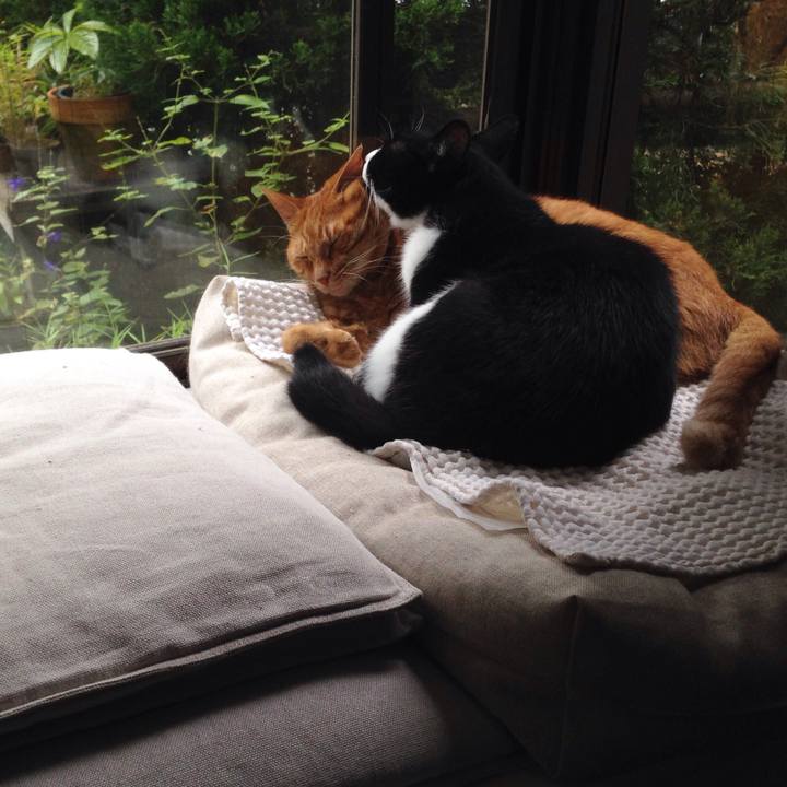 D0f12531 9ebf 43cb 87e9 f9a9cda2e035