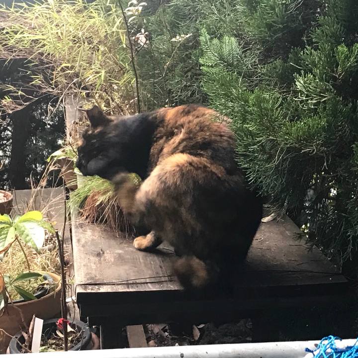 D0f1a77f 76f1 426b a355 558e80efd532