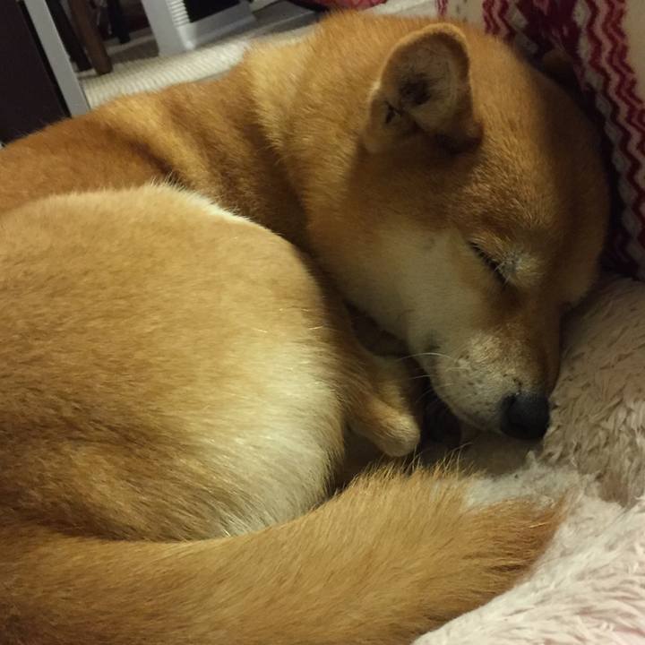 D0f22aa0 3a88 4b9a 9a4a 816318503845