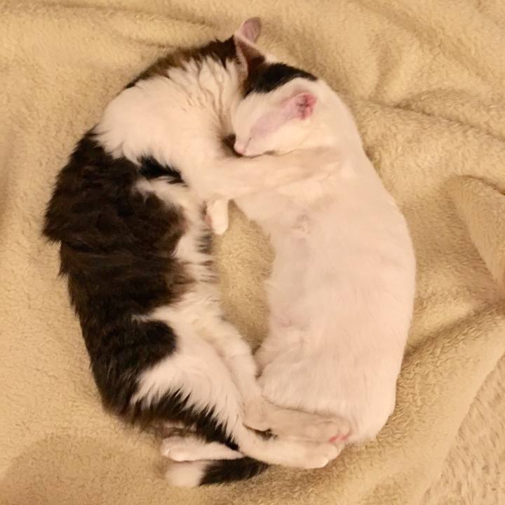 D0f2ea90 042a 43f1 8b12 6eddde5b60de