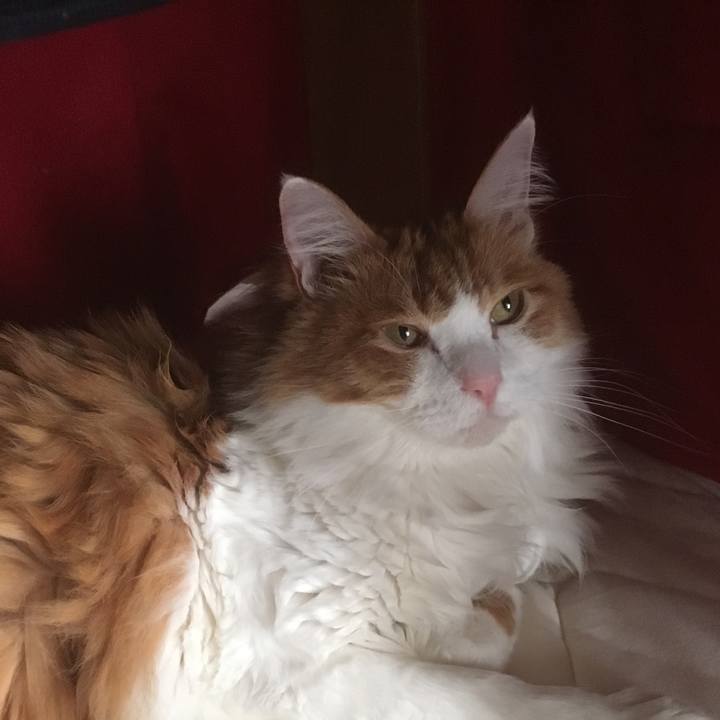 D0f322d1 f2d4 4c85 afd5 ec719a5c1530