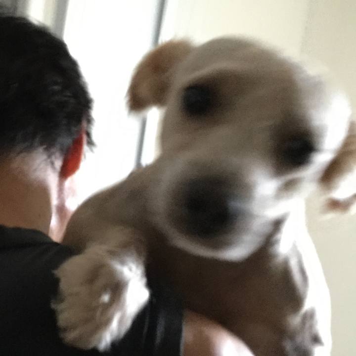 D0f35378 8a97 408e ab50 62c6c658f431