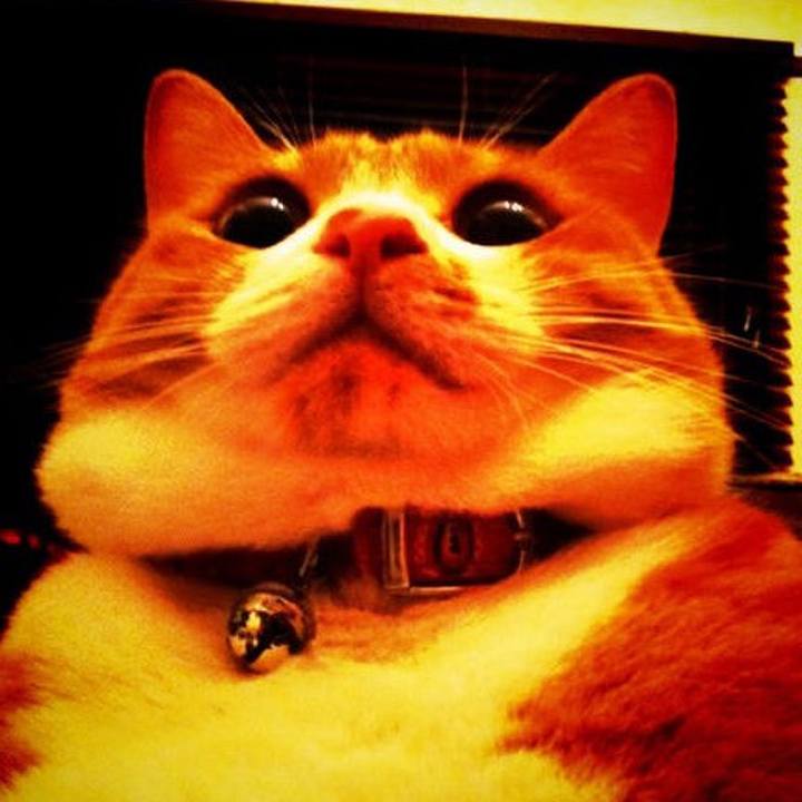 D0f3a1f1 8bff 4c24 8f71 fd548352fafc