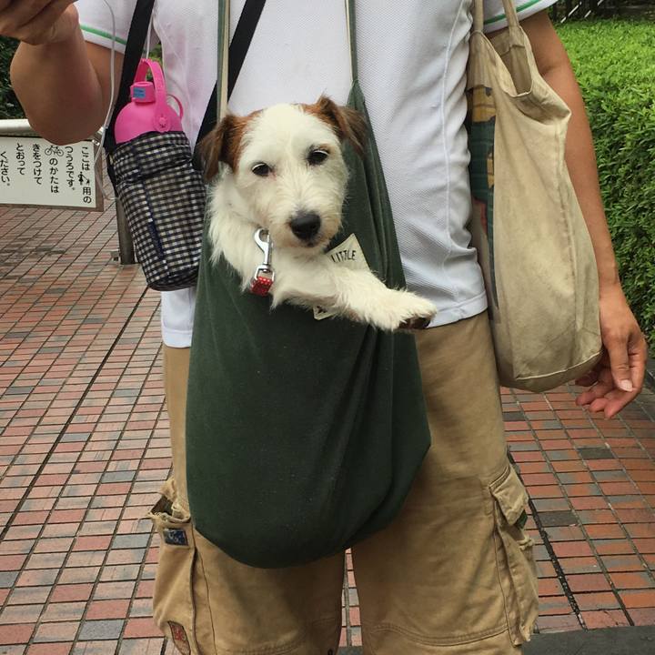 D0f41a41 7a55 4c10 80c2 6267643c898b