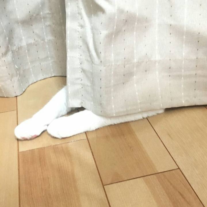 D0f44338 1fb5 40a5 ad19 edd74353e239