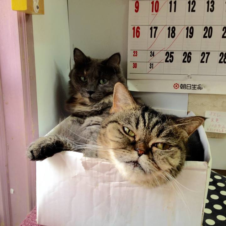 D0f4ab35 be7d 46f7 8771 3473f18e1384