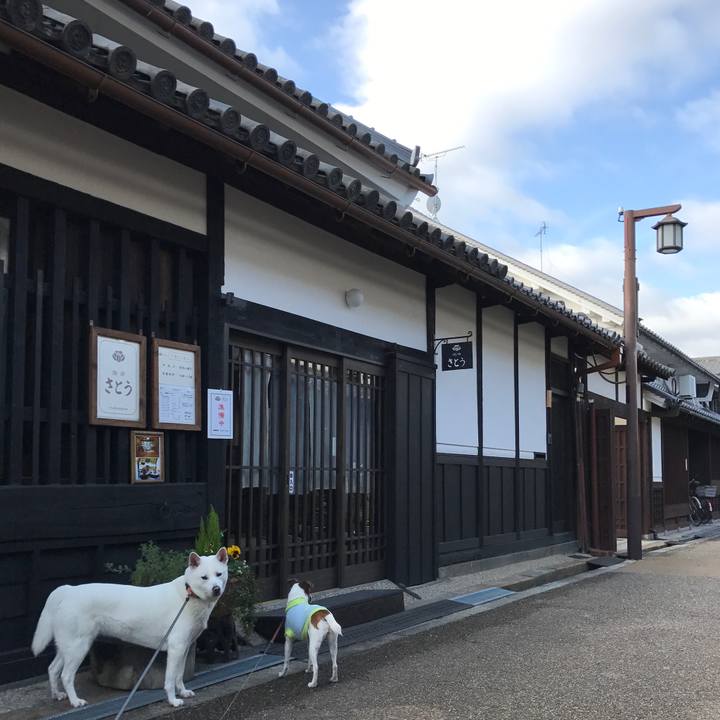 D0f4dbb8 965a 458a 98a4 3e8ff7f769e3