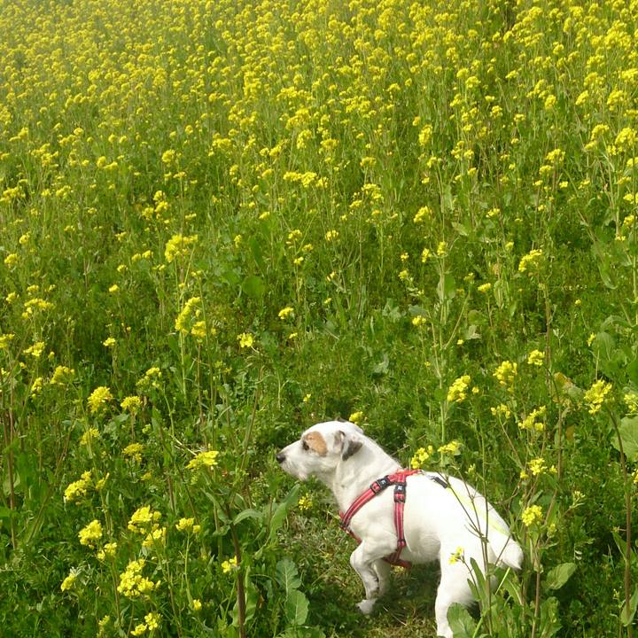 D0f51052 37dc 4804 86cb f242e23d70f7