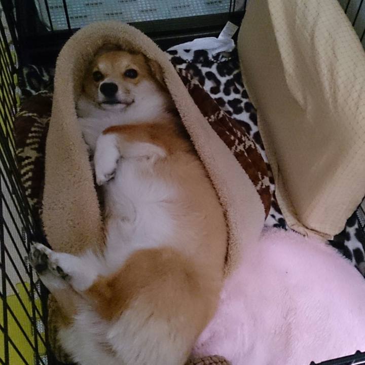 D0f5b752 089a 46cc b1d5 4da67b7a5cf2